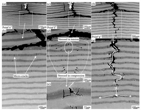 In-Situ Observation of Fracture Behavior of Ti-Aluminide Multi-Layered ...