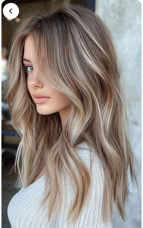 Discover 280 Dark Blonde Highlights and Brunette Hair With Highlights ...