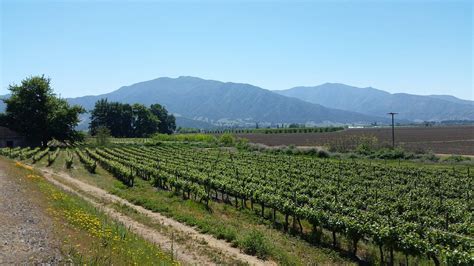 HOSTAL DEL CENTRO (Santa Cruz, Chile - O'Higgins Region) - Inn Reviews ...