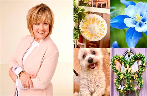 QVC Facebook Bob 的图像结果