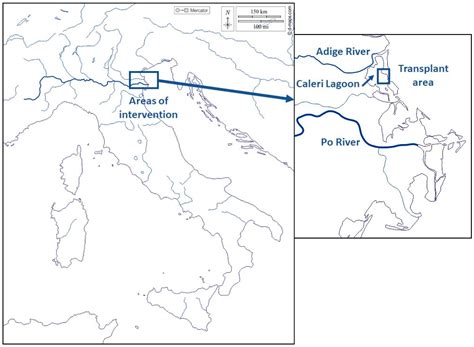 Effects of Restoration Through Nature-Based Solution on Benthic ...