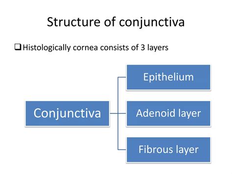 Anatomy of the conjunctiva | PPTX