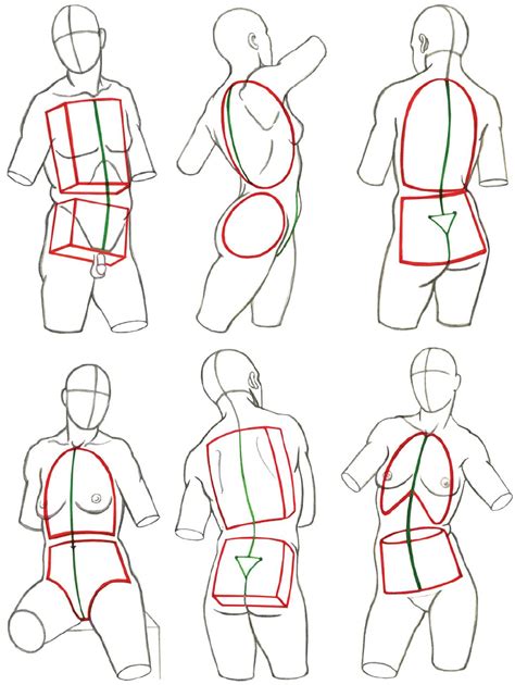 Shapes of anatomy | Human figure drawing, Figure drawing tutorial ...