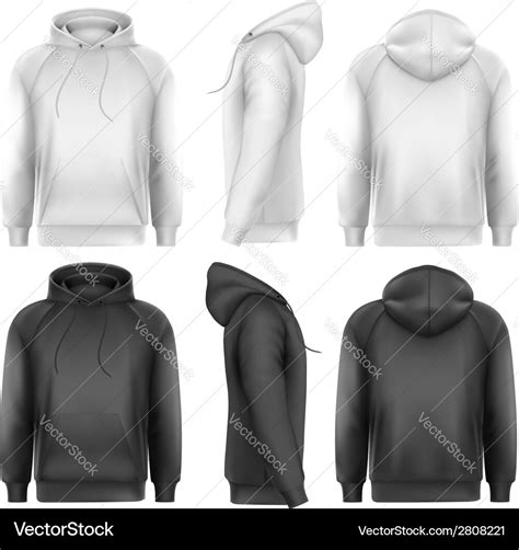 Image result for Sample Image of Vector Data