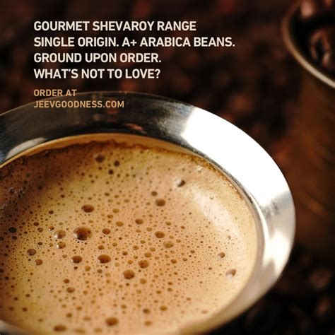 Gourmet South Indian Coffee | Freshly Ground Upon Order | Shevaroy Ran ...