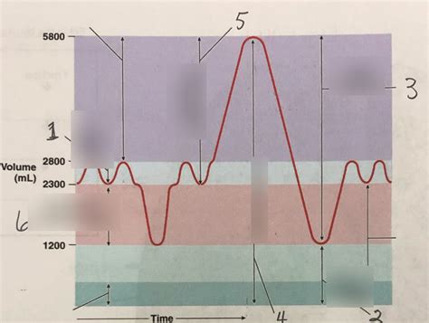 Capacity 的图像结果