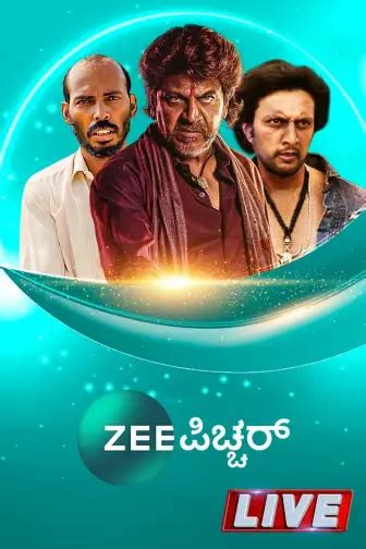 Zee Picchar Live TV
