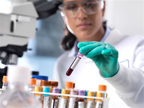 Direct Order Labs | Cleanbody