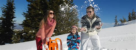 Image result for RIS Insurance