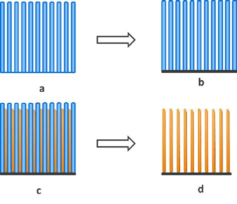 Image result for Aao Scripts Examples
