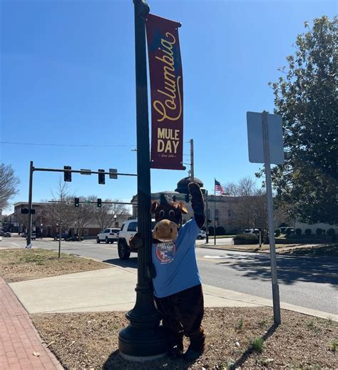 Mule Day Columbia, TN | 2025 Official Mule Day Souvenirs are HERE ...