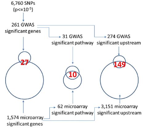 Gwas Microarray 的图像结果