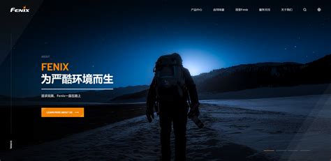 深圳十大网页设计公司|高端网站设计【尼高网站设计】