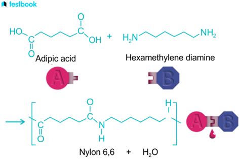 Image result for Condensation Polymerization