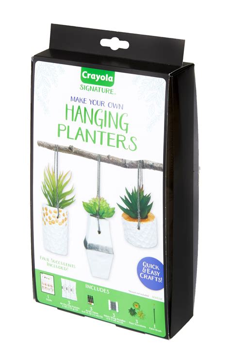 Buy Crayola Signature Make Your Own Hanging Planter Kit: Quick & Easy ...