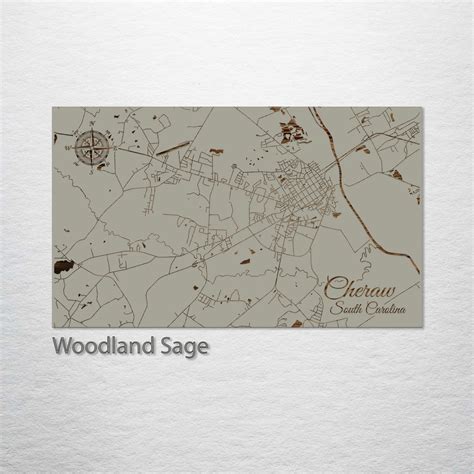 Cheraw, South Carolina Street Map