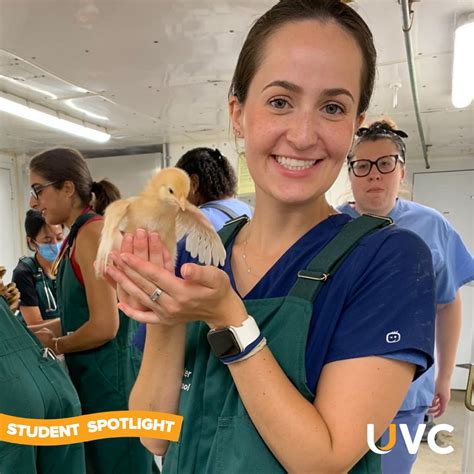 🌟 Student Spotlight: Meet Hannah Soifer from Cummings School of ...