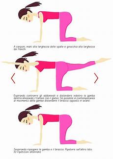 prolasso pavimento pelvico pavimento pelvico esercizi per rafforzarlo blogmamma it prolasso pavimento pelvico pavimento pelvico esercizi per rafforzarlo blogmamma it