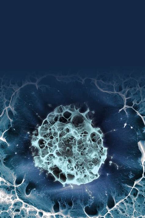 Image result for Science Cells