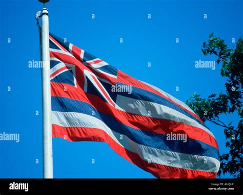 American and hawaiian state flags hi-res stock photography and images ...
