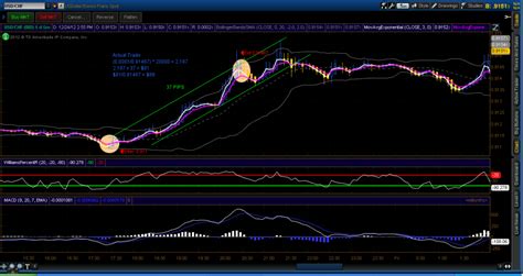 Forex Trade Example 的图像结果