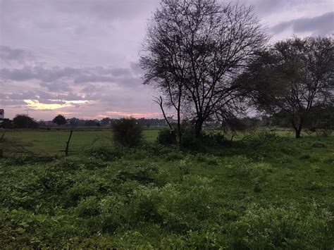 Campus | caet etawah