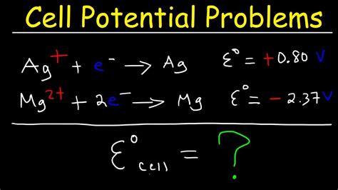 Image result for Cell Potential Problems