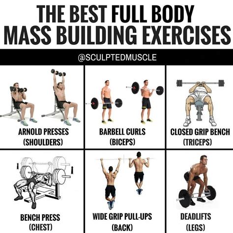 THE BEST FULL BODY MASS BUILDING EXERCISES by @sculptedmuscle ...
