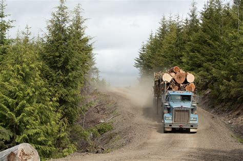 Building a Logging Road 的图像结果