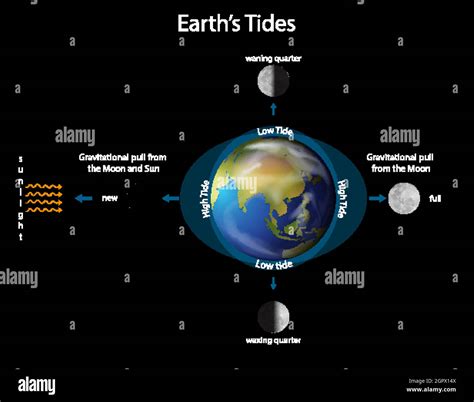 Diagram showing earth tide Stock Vector Image & Art - Alamy