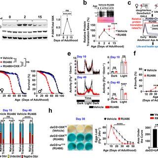Image result for Accelerated Aging Causes