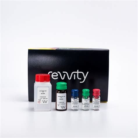 HTRF cAMP Gs HiRange Detection Kit, 1,000 Assay Points | Revvity