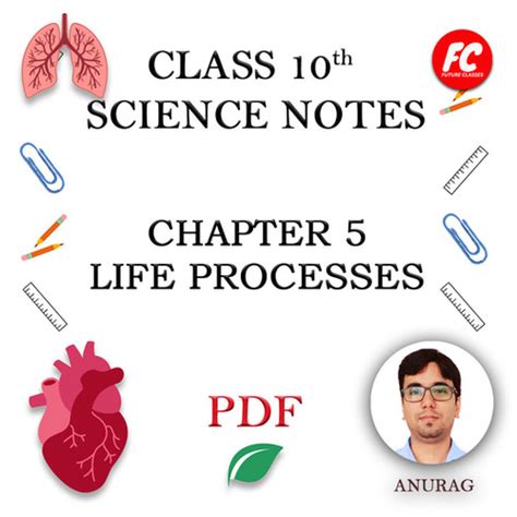 Life Processes Class 10 SuccessCDs 的图像结果