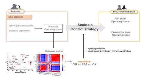 Control Strategy for Process Development of High-Shear Wet Granulation ...