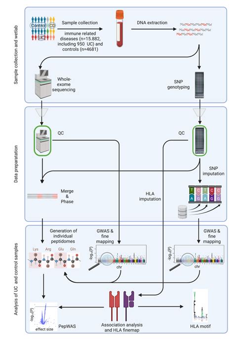 Image result for Cellular Graphical Abstract