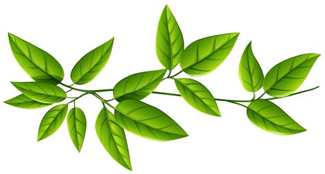 Leaf Green Clip art - green leaves png download - 5164*2760 - Free ...