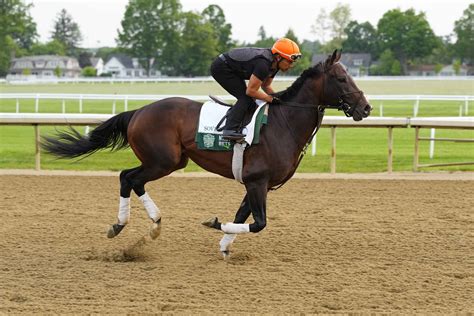 Watch the full race video of Sovereignty's win in 2025 Travers Stakes ...