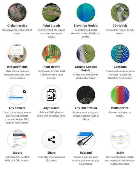 Webodm Tutorial 的图像结果