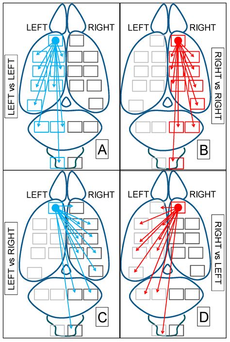 Asymmetric Pattern of Correlations of Leucine Aminopeptidase Activity ...