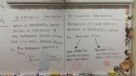 Mr. Pittenger Biology/Honors Biology 1st Semester Resources - Cardinal ...