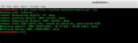 Web UI Version for Bettercap | Pristine InfoSolutions