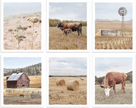 Color Play Autumn Countryside Farm Nature Landscape Pictures India | Ubuy