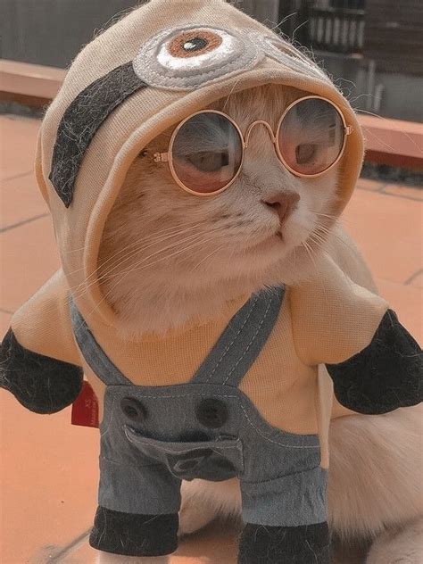 Image result for Azure Machine Learning Add Pipeline Level Output Using UI
