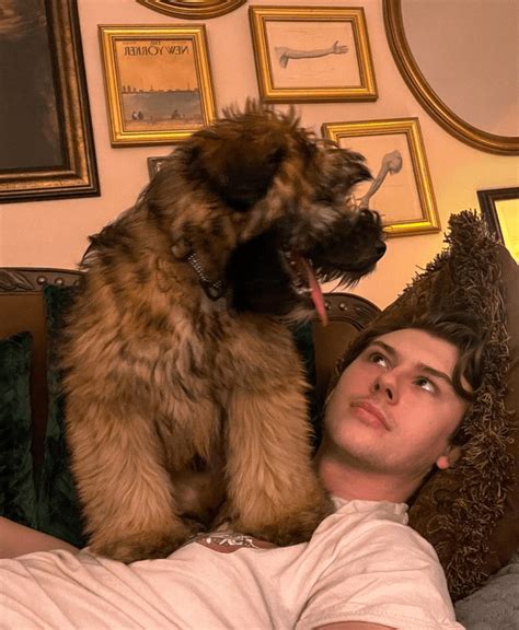 Image result for Post Humorous Gus