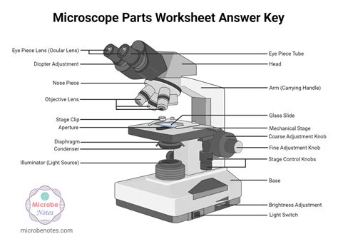 Image result for How to Use Microscope for Identification