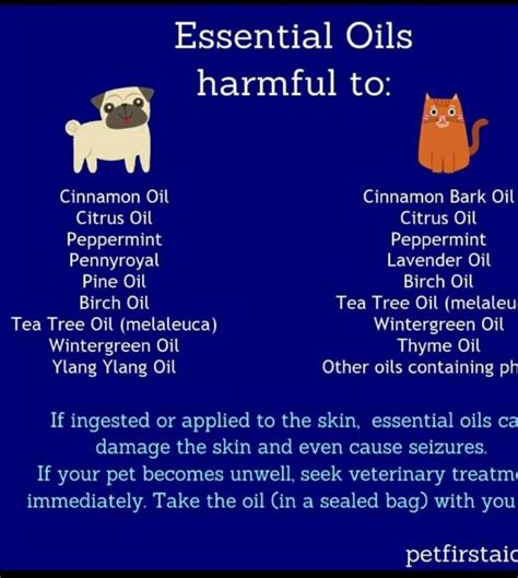 toxic essential oils for cats