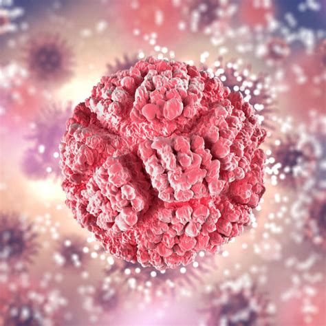 Understanding TLC Normal Range & Importance of Leucocyte Count ...