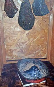 Schinken räuchern – Schinken selber machen Schritt für Schritt erklärt