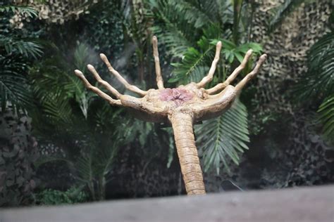 Image result for Alien Predator House Decorations