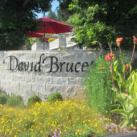 David Bruce Winery - Lohnt es sich? Aktuell für 2024 (Mit fotos)